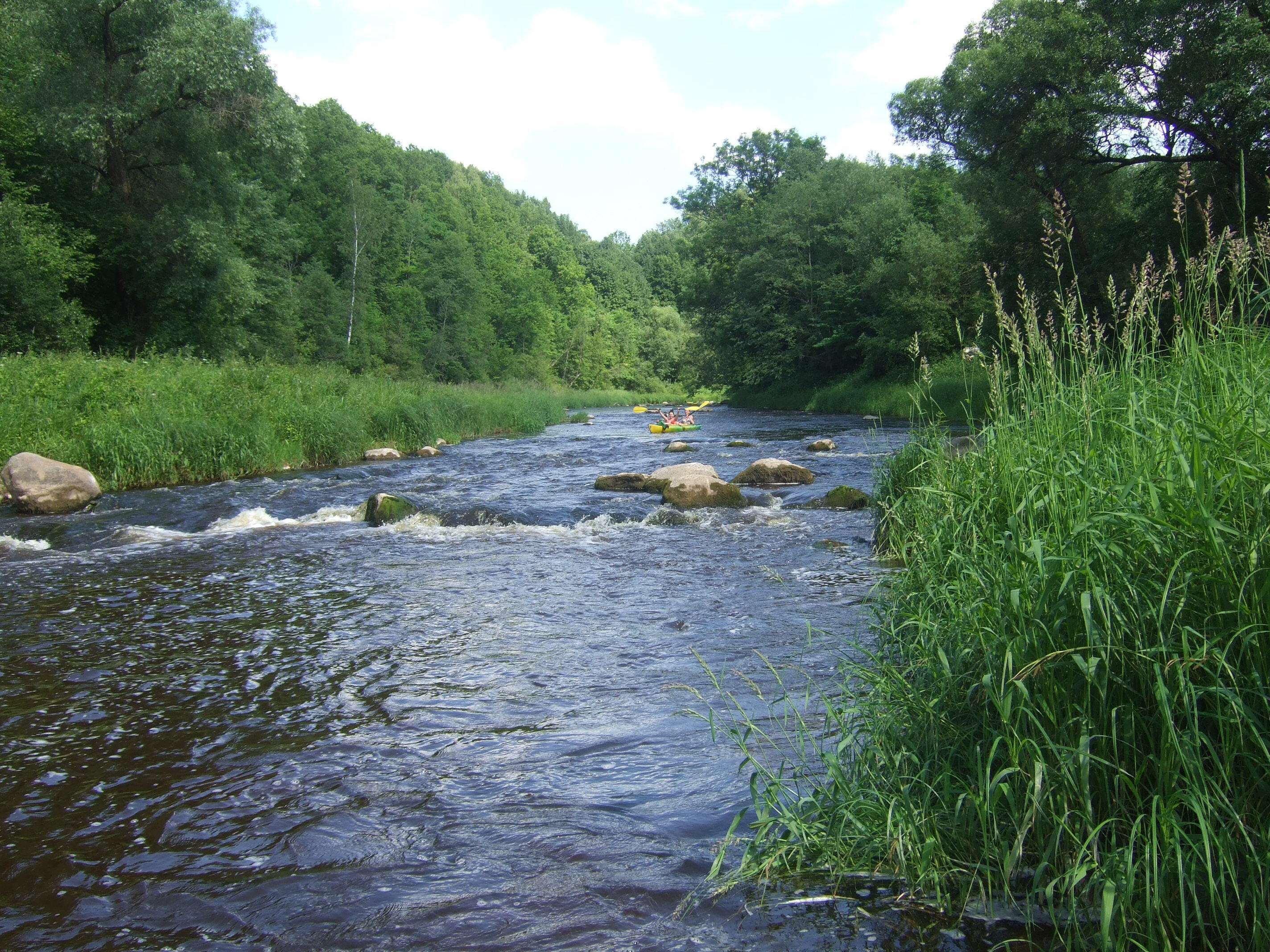 Širvintos upė – viena gražiausių vietų plaukimui baidarėmis Lietuvoje